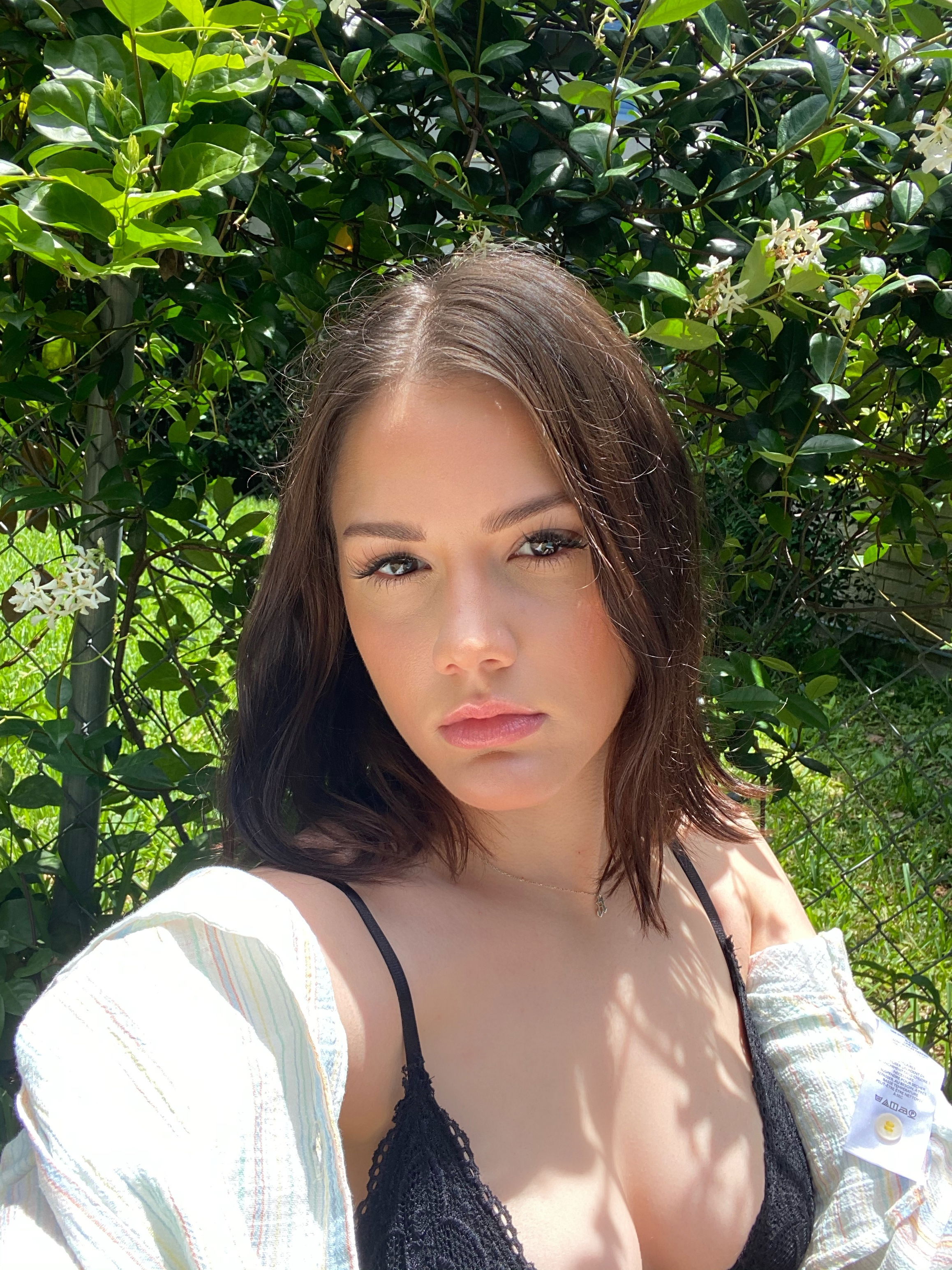 mia angelo profile avatar mia angelo profile avatar