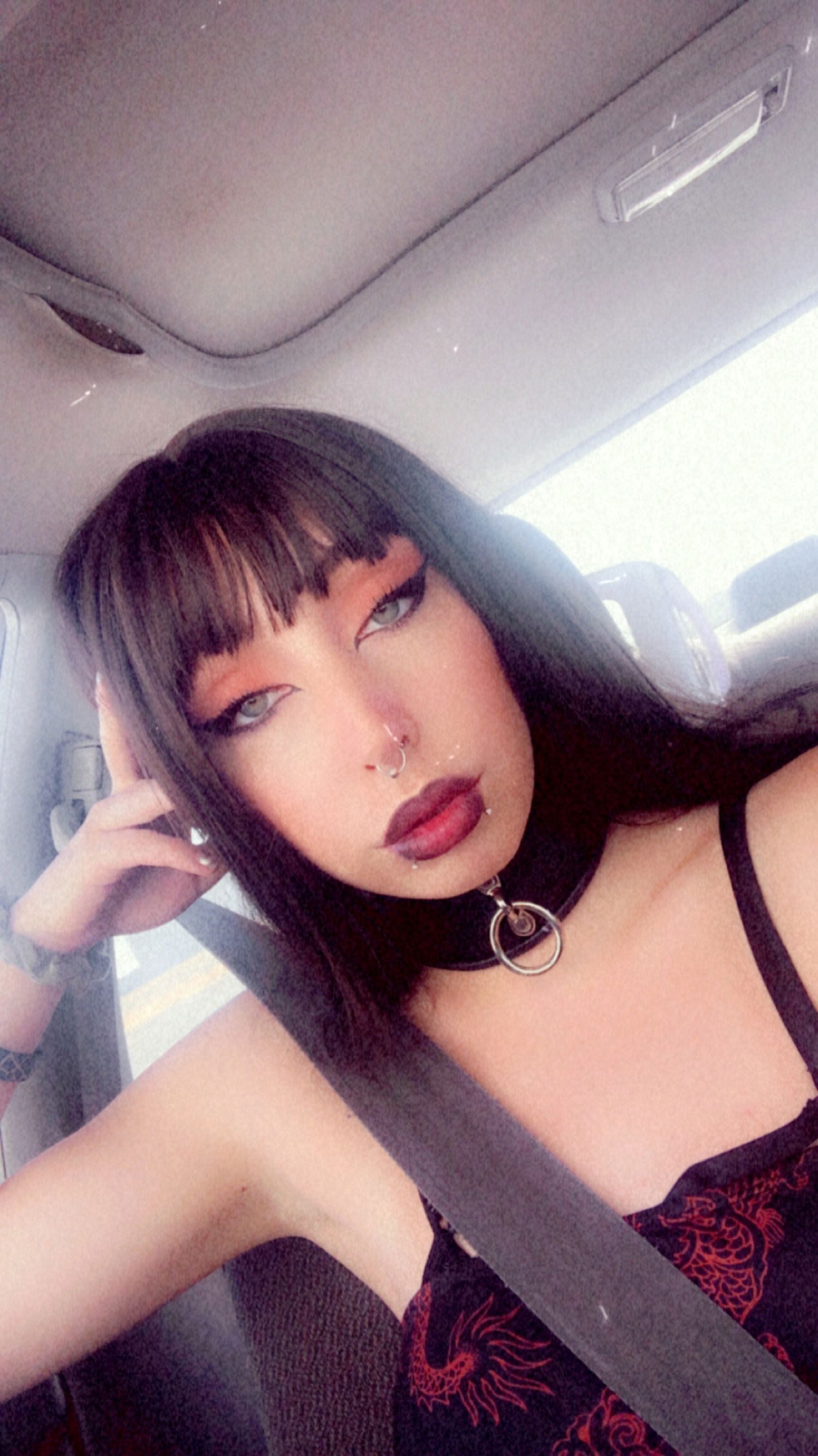 lexi farmer profile avatar lexi farmer profile avatar